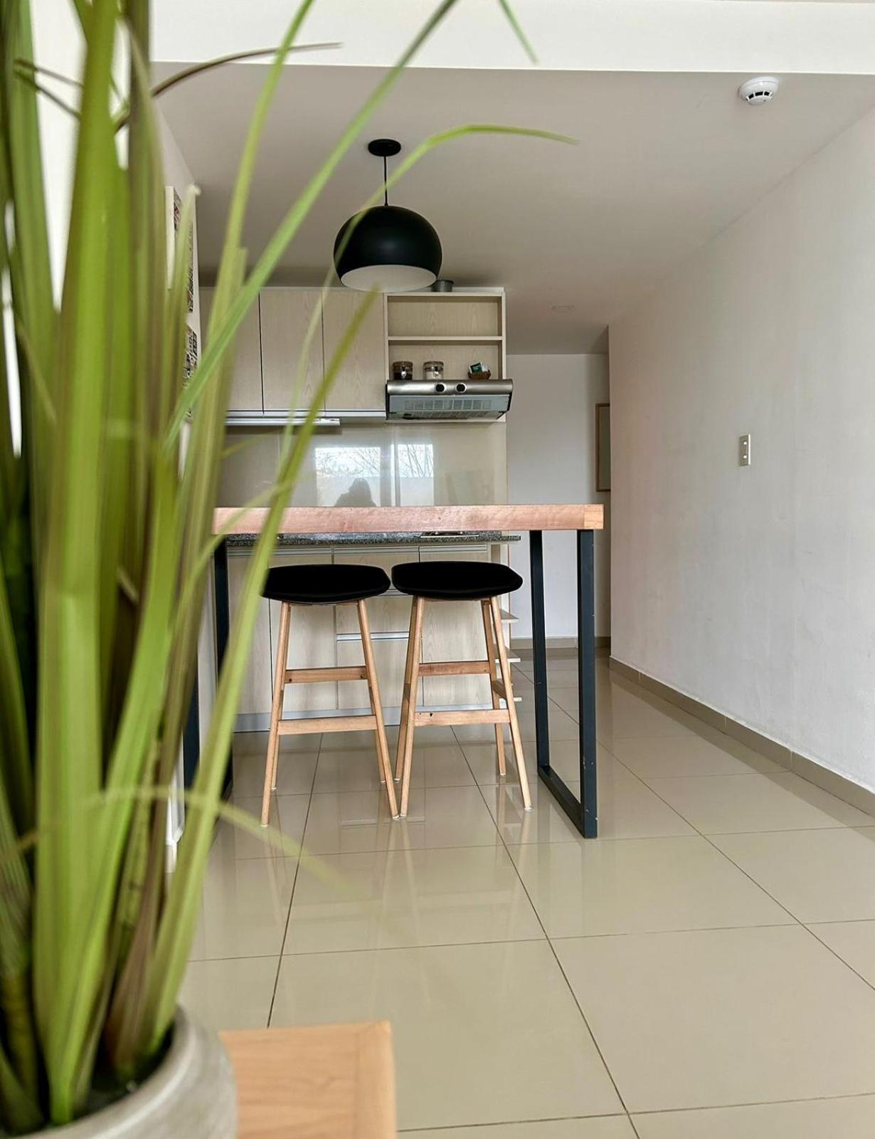 Appartement Penguins Flats 5 à Ushuaïa Extérieur photo